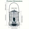 Outdoor Wild Bird Feeder Squirrel-Proof Chew-Proof Metal Hanging Seed Feeder with 4 Feeding Ports for Small Songbirds - 2 of 4