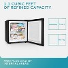 EUHOMY Mini Fridger Upright Freezer - 2 of 4