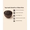 Shastha Heritage Black ( Kavuni Rice ) / Black Rice - Pack of 4 , 4Lbs - 4 of 4