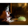 4M: Glow Crystal Growing Kit - DIY Science, Geology Experiment, 10+ - 4 of 4