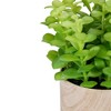 Northlight Artificial Privet Plant with Faux Marble Pot - 8.5" - Green - 4 of 4