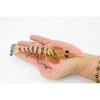Collectible Wildlife Gifts | Shrimp, Prawn, Tiger Shrimp, Museum Quality, Hand Painted, Rubber Crustaceans,  Toy Model, Gift,   7"  CH245 BB122 - 3 of 4