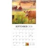 Hopper Studio Beckoning Barns 2026 12"x24" Hanging Square Wall Calendar Plastic-Free - 4 of 4