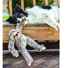 Fluff and Tuff Tico Sloth Plush Dog Toy - 4 of 4