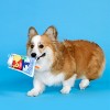 BARK Juice Pooch Dog Toy - image 2 of 4
