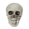 Northlight 3.5" Skeleton Skull Heads Halloween Decorations 6ct - White/Gray - 2 of 3