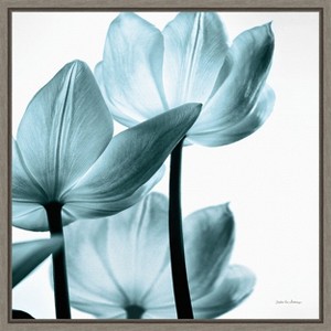 Amanti Art Translucent Tulips III Sq Aqua Crop by Debra Van Swearingen Framed Canvas Wall Art - 1 of 4