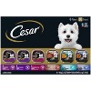 Cesar Classic Loaf in Sauce Beef, Chicken and Steak Flavor Variety Pack Small Breed Wet Dog Food - 3.5oz/36ct - 2 of 4