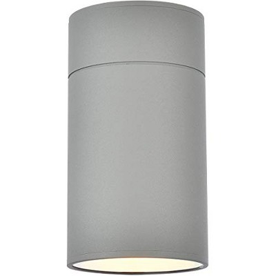 Elegant Lighting Raine Outdoor Wall in silver