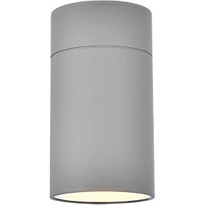 Elegant Lighting Raine Outdoor Wall in silver - 1 of 4