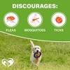 Beloved Pets Flea & Tick Support, Natural Chewable Pills for Dogs, 10 Oz - 1 Pack - 2 of 4