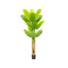 6.9ft Artificial Banana Tree With 10 Large Leaves And Natural Bark,Fake Banana Tree Indoor Outdoor Greenery Potted Plant For for Home Office Porch - 3 of 4