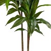 Artificial Dragon Tree in Pot - Tropical Fake Plant Decor for Living Room, Balcony, Bedroom, Office - 2 of 4