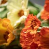 Sullivans Artificial 19" Bright Poppy Grass Bush Set of 3 - 2 of 4