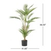 Maggift Artificial Plant Artificial Artificial Palm Tree Bonsai Greenery Potted Real Touch Decorative Green Leaves Black Pot, Green, 41"*41"*66.5" - 3 of 4