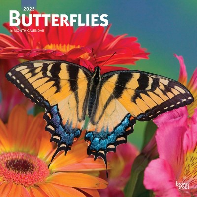 2022 Square Calendar Butterflies - BrownTrout Publishers Inc