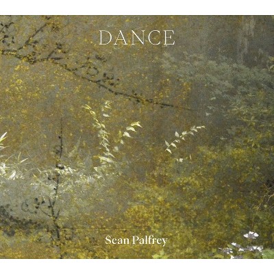 Dance - by  Sean Palfrey (Paperback)