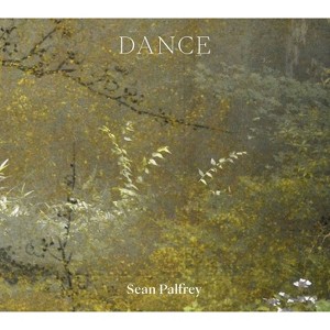 Dance - by  Sean Palfrey (Paperback) - 1 of 1