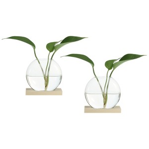 Unique Bargains Wooden Stand Hydroponic Collectible Glass Terrarium 2 Pcs - 1 of 4