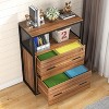 Tribesigns 2 Drawer Lateral File Cabinet - 4 of 4