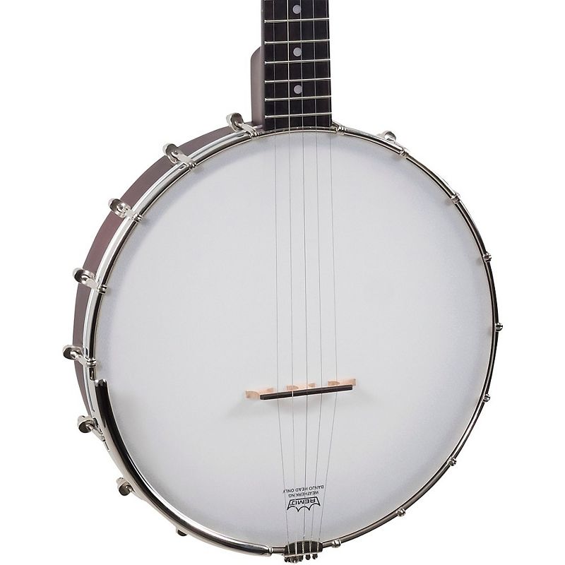 Recording King Dirty 30s Open-Back Tone Ring Banjo, 3 of 5