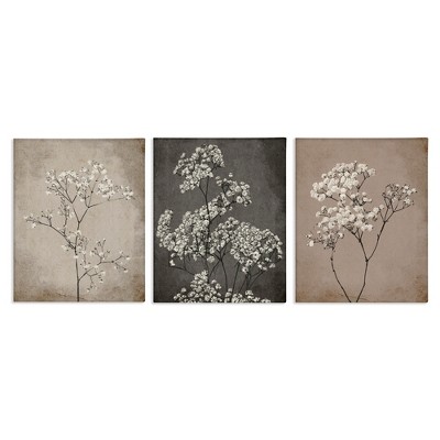 Stupell Industries Botanical Baby's Breath Herbs, 11" x 14"