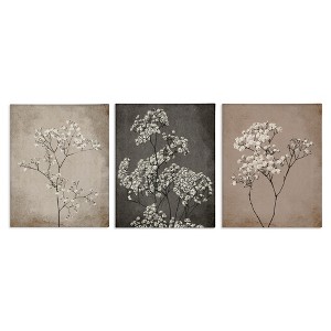 Stupell Industries Botanical Baby's Breath Herbs, 11" x 14" - 1 of 4