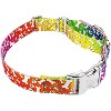 Country Brook Petz Martingale Dog Collar with Premium Buckle - Groovy Collection - 3 of 4