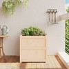 vidaXL Garden Planter 23.6"x23.6"x23.6" Solid Wood Pine - 3 of 4
