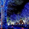 Twinkle Star 33FT 150 Incandescent Mini String Lights, UL Certified Indoor & Outdoor Lights for Christmas and Decoration - 3 of 4