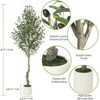 5FT Faux Olive Tree Tall,Olive Trees Artificia Indoor with White Planter and Green Moss, Fake UV Resistant Artificial Tree, 1 Pcs - 3 of 4
