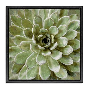 Stupell Industries Green Botanical Succulent Bloom, 18" x 18" - 1 of 4
