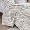 Gracie Mills Cornelia Brushed Fur Duvet Cover Set - 3 of 4