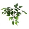 Vickerman 6' Artificial Variegated Ficus Tree - image 2 of 4