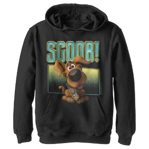 Boy's Scooby Doo Puppy Frame Pull Over Hoodie - 1 of 3