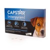 Capstar (Nitenpyram) for Dogs  - image 3 of 4