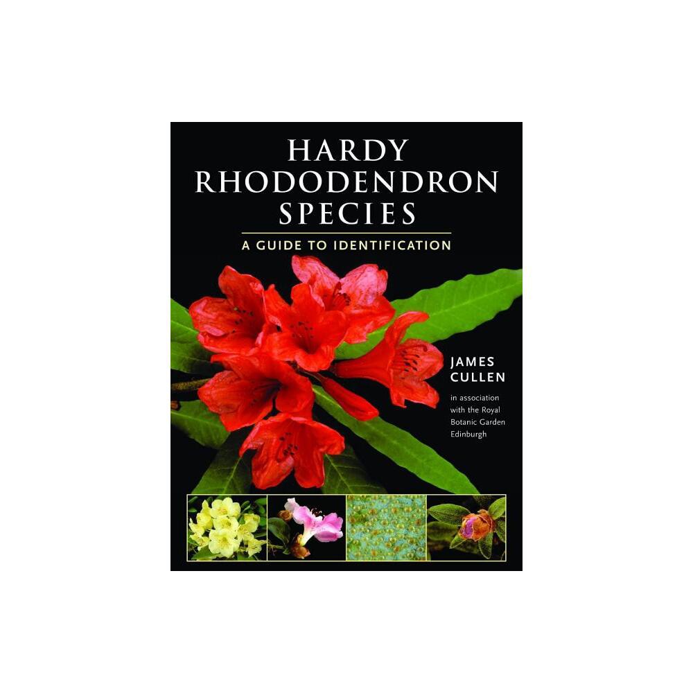 Hardy Rhododendron Species - by James Cullen (Paperback)