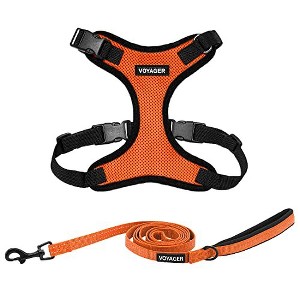 Voyager Step-In Lock Adjustable Dog & Cat Harness and 5ft Leash Combo - 1 of 4