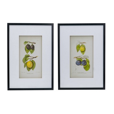 Set of 2 Black Framed Botanical Fruit Wall Art