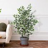 Boersma Artificial Ficus Tree Silk Fake Tree with Pot - Lifelike Foliage & Branches for Indoor/Outdoor Decor Bring timeless beauty to your space - 2 of 4