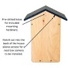 Cedar Ultimate Bluebird House (Blue) - 3 of 4