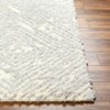 Hauteloom Isano Beige Plush Area Rug - 2 of 4