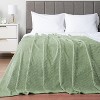 PAVILIA Lightweight Fleece Throw Blanket for Couch, Soft Warm Flannel Blankets for Bed - image 3 of 4