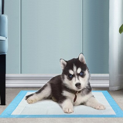Large Blue Disposable Puppy Training Pads 22" x 22" 100 Pack