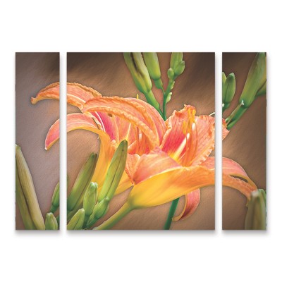 Trademark Fine Art Leslie Montgomery A Gift From the Orient 3 Piece Panel Set Art