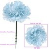 Floral Home 5" Stem Long Blue Carnation Pick - 100-Piece - 3 of 4