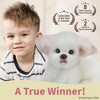 Bearington Angel The Maltese Stuffed Animal, 13 Inch White Dog Stuffed Animal - 4 of 4