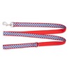 The Worthy Dog Daisies Dog Leash - 4 of 4