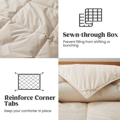 EcoDream Full/Queen Off-White Organic Cotton Down Comforter