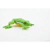 Collectible Wildlife Gifts | Green Tree Frog, Hand Painted, Amphibian, Hard Rubber, Realistic Frog, Model,  Toy, Gift,       2 1/4"    F4401 B9 - 4 of 4